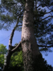 s_pict0143_thumb.png